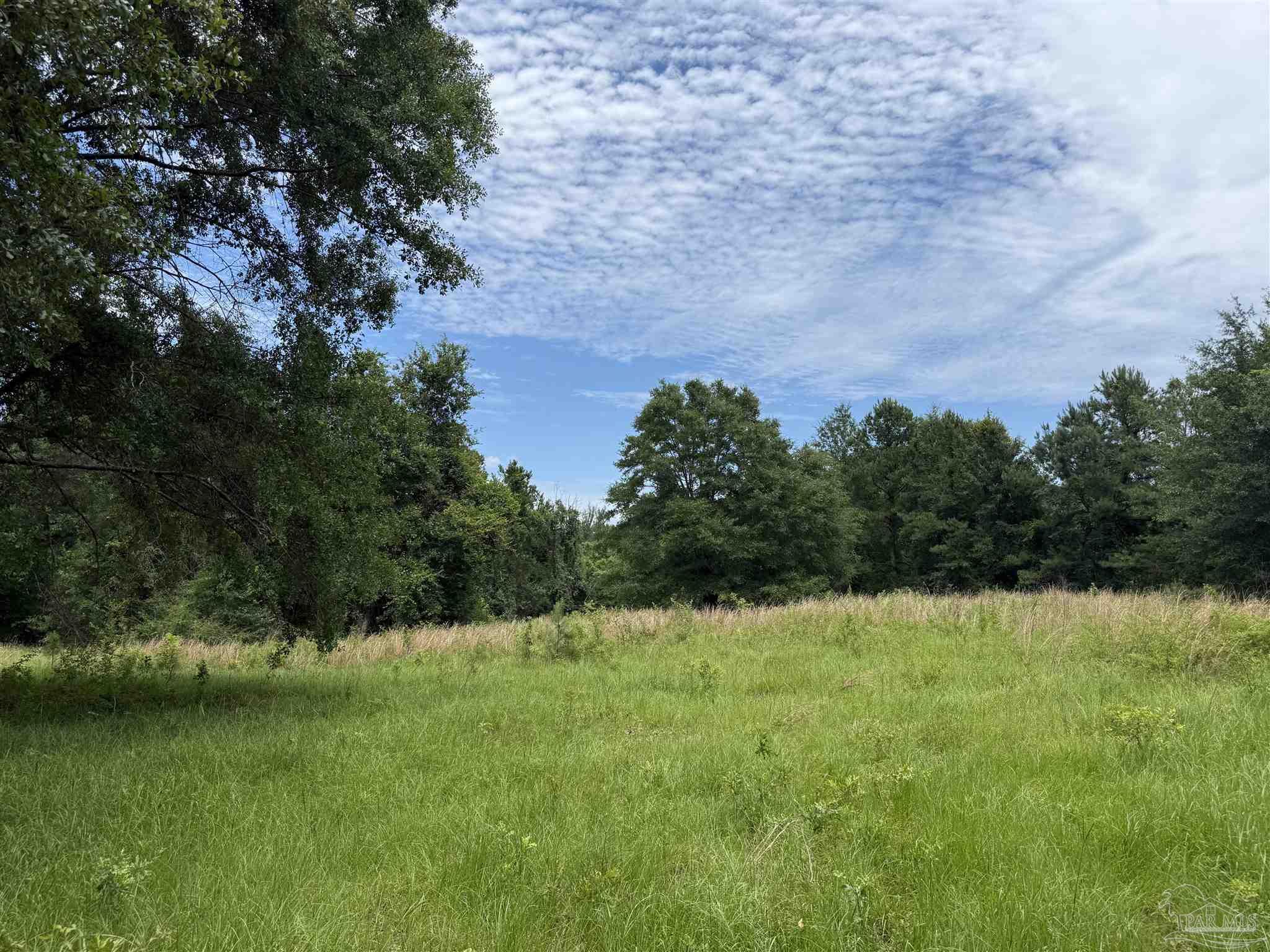 296 Salters Lake Road Century, FL 32535 - Photo 28 of 34