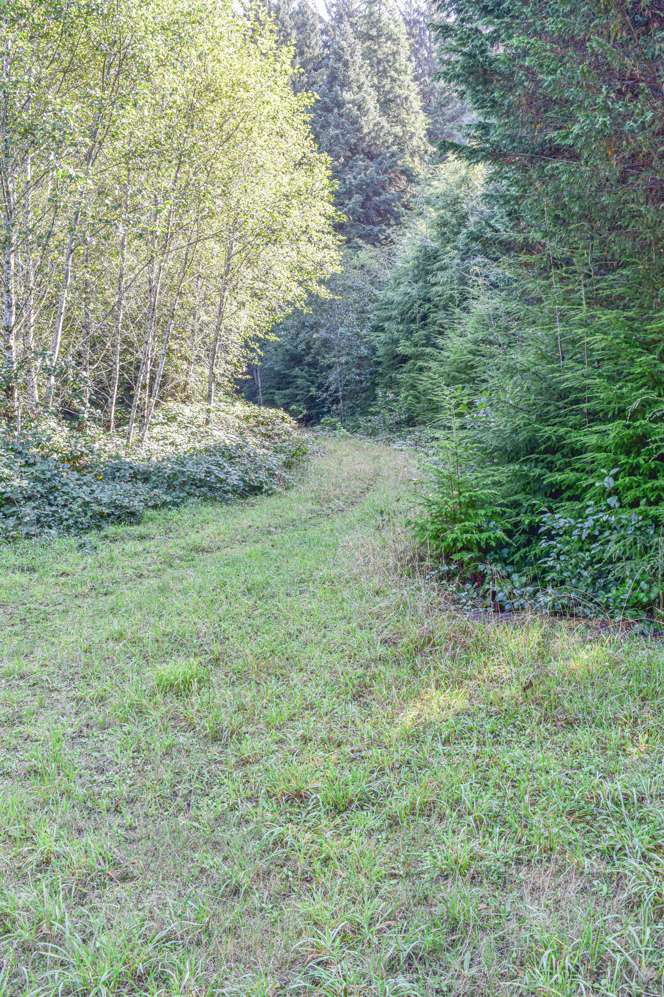 3174 Northeast East Line Road Yachats, OR 97498 - Photo 10 of 12 East Line