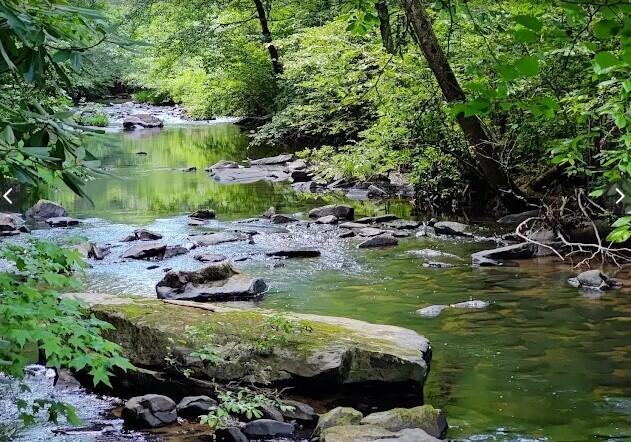 106 Founding Way, Unit A Lookout Mountain, GA 30750 - Photo 29 of 30 Lula Lake Land Trust