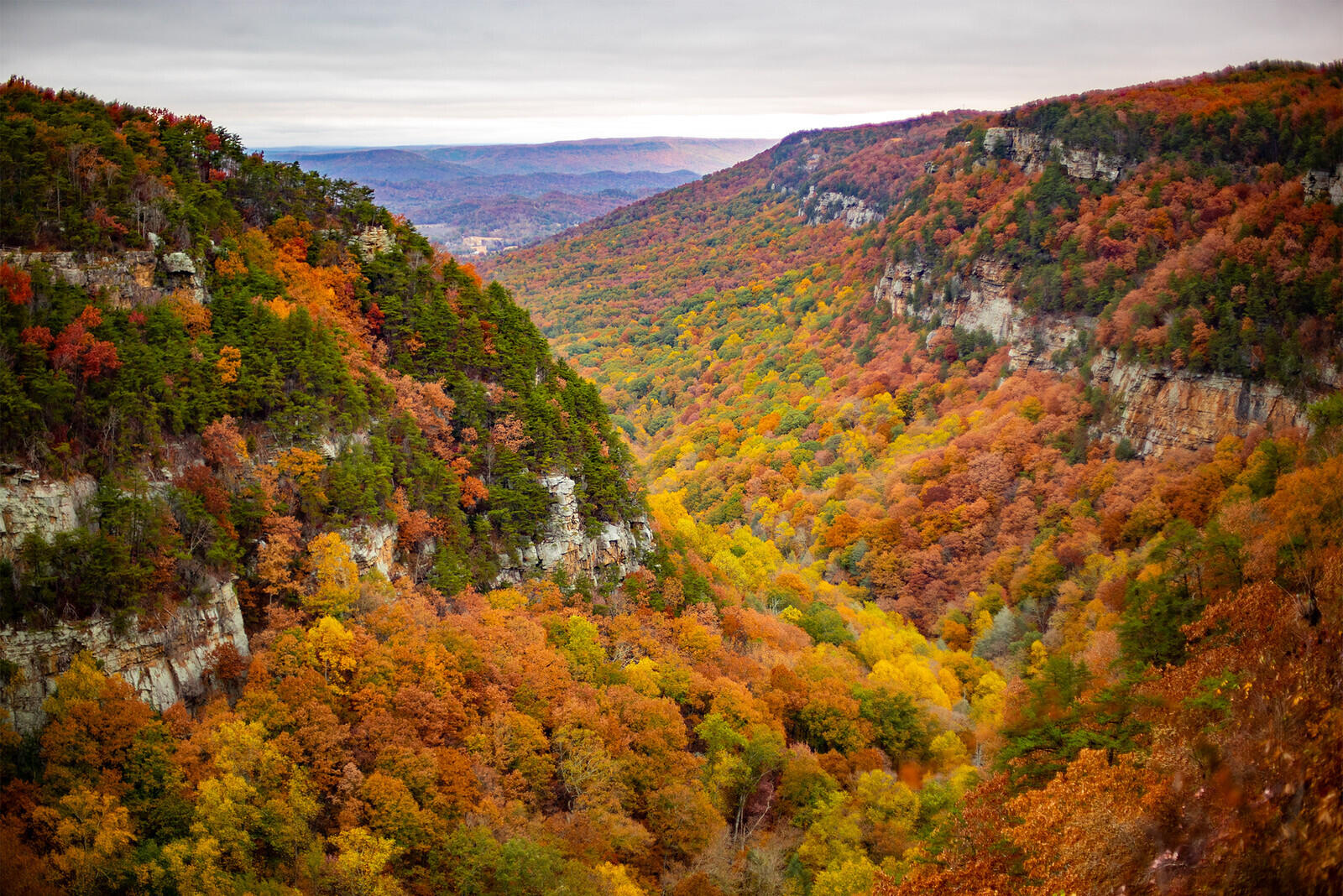 106 A Founding Way, Unit 27 Lookout Mountain, GA 30750 - Photo 11 of 49 cloudland canyon overlook - fall