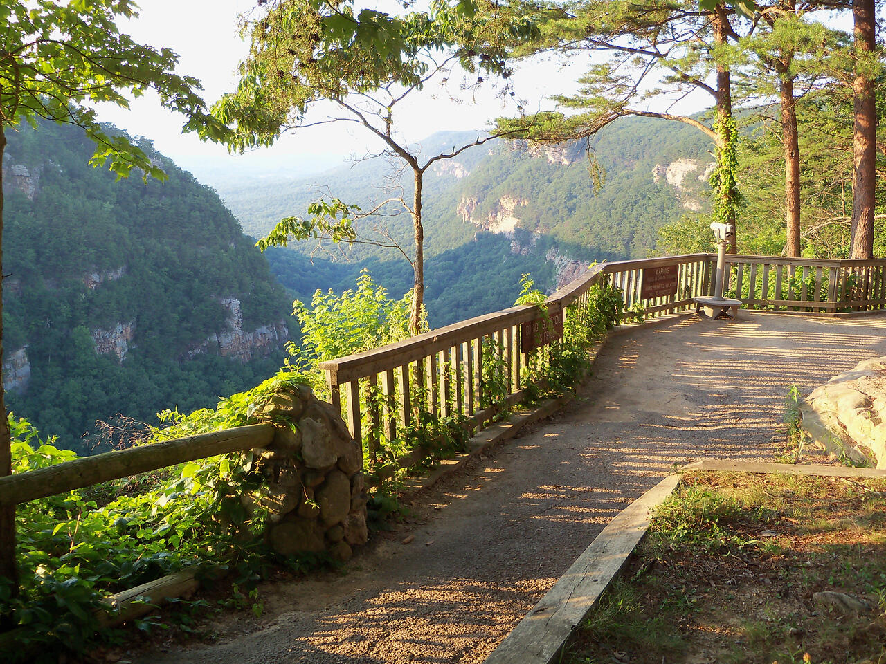 106 A Founding Way, Unit 27 Lookout Mountain, GA 30750 - Photo 12 of 49 Cloudland Canyon Overlook into Sittons G