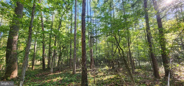 $139,750 | Lot 39 Lees Court, Locust Grove, VA 22508