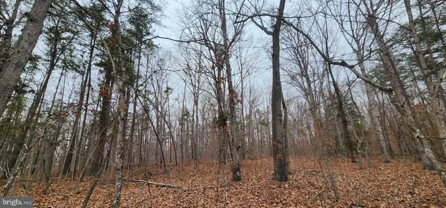 $139,750 | Lot 39 Lees Court, Locust Grove, VA 22508