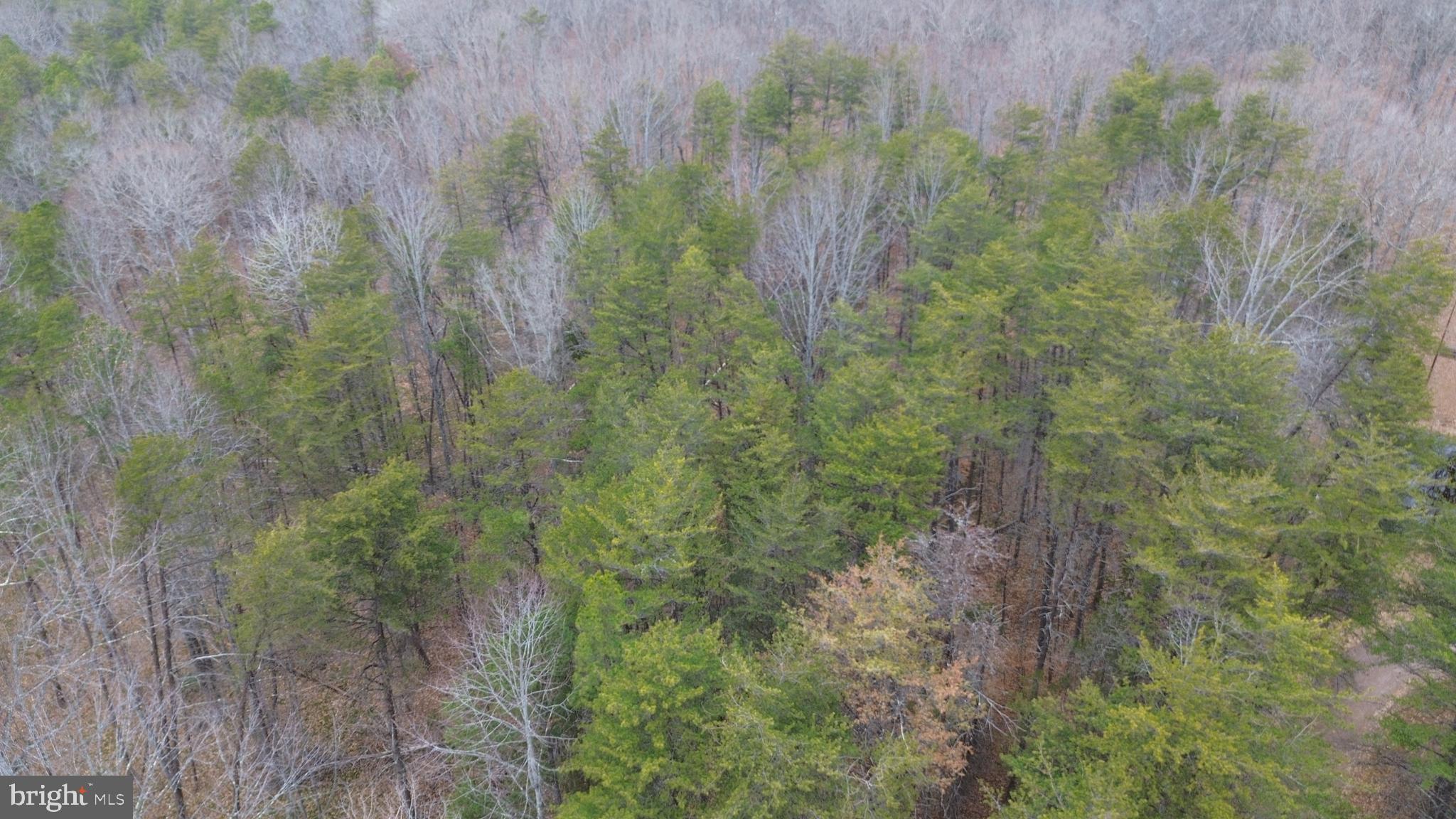 Lot 39 Lees Court Locust Grove, VA 22508 - Photo 3 of 15