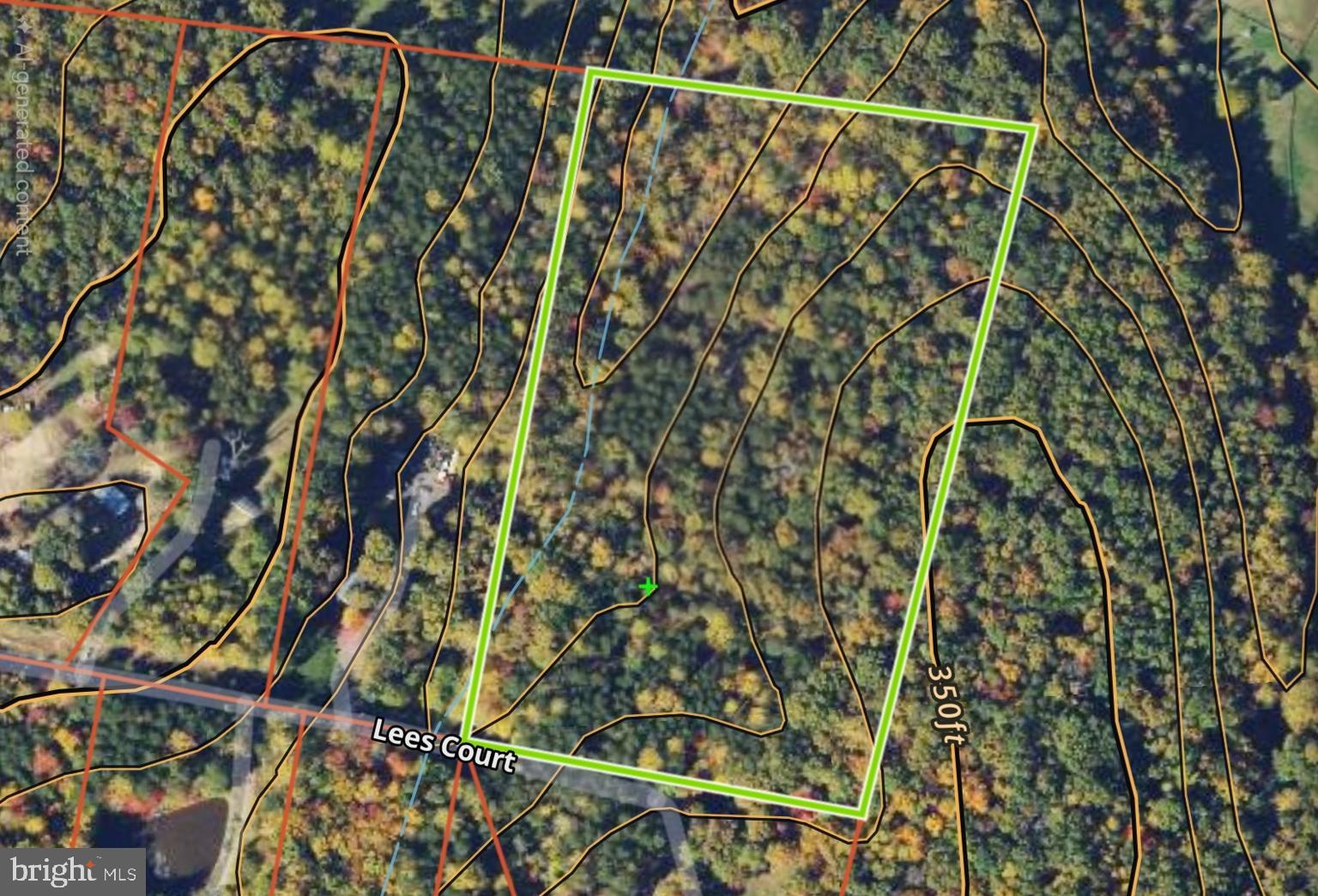 Lot 39 Lees Court Locust Grove, VA 22508 - Photo 4 of 15 a close up of a plant