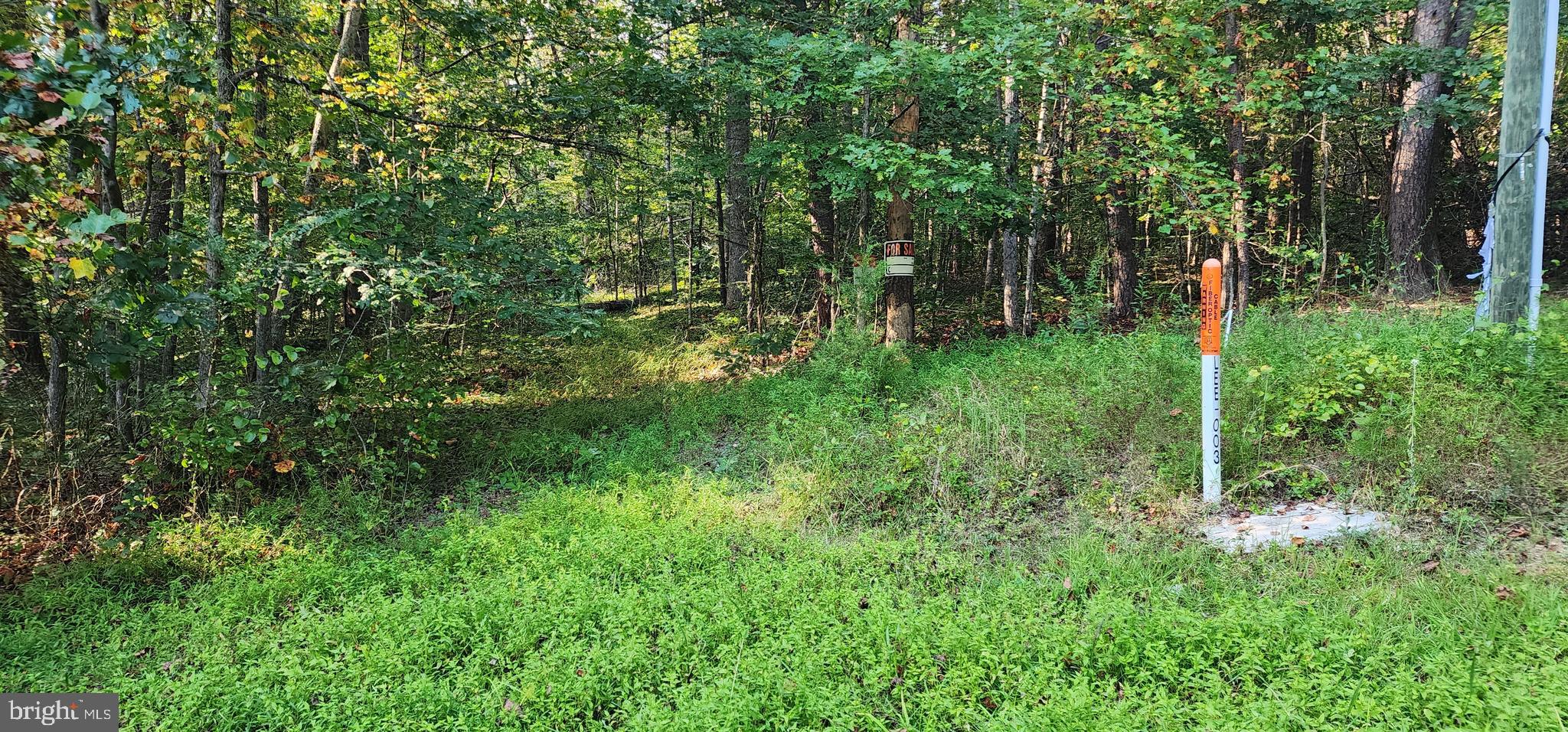 Lot 39 Lees Court Locust Grove, VA 22508 - Photo 6 of 15 a view of a green field with lots of bushes