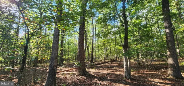 $139,750 | Lot 39 Lees Court, Locust Grove, VA 22508