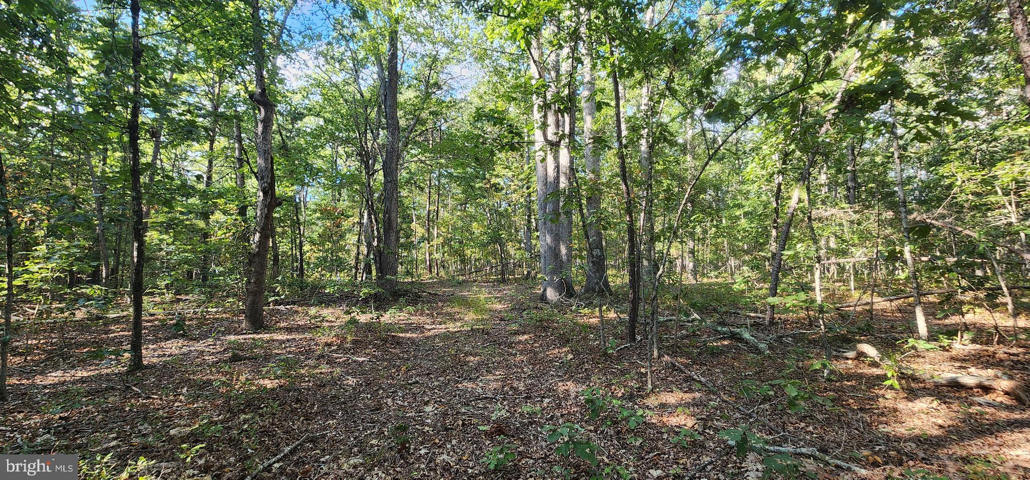 Lot 39 Lees Court Locust Grove, VA 22508 - Photo 9 of 15 a view of outdoor space and green space