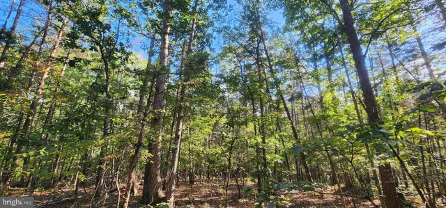 $139,750 | Lot 39 Lees Court, Locust Grove, VA 22508