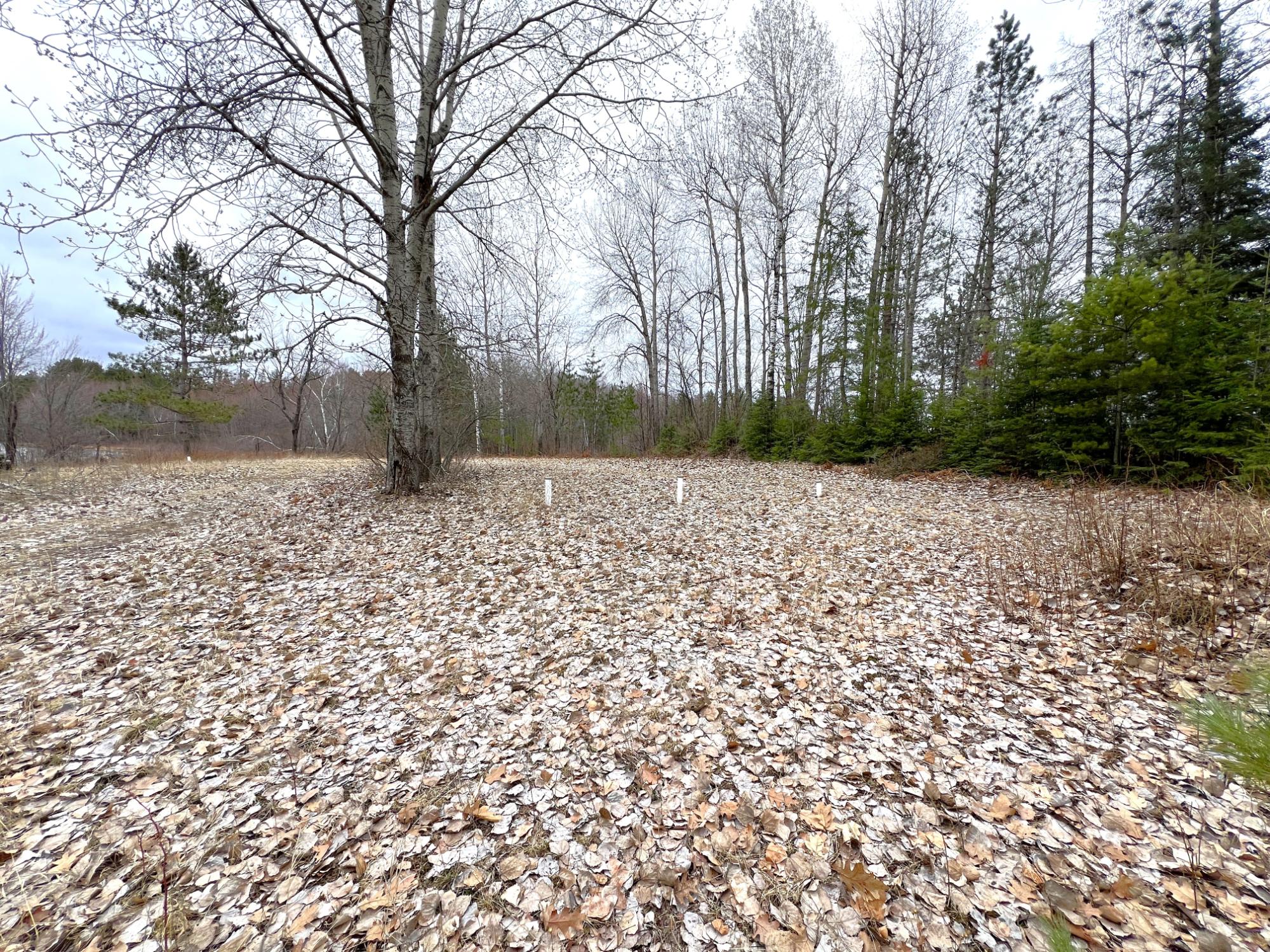 On On Shabby Lane Rhinelander, WI 54501 - Photo 7 of 18 Gallery Image 7