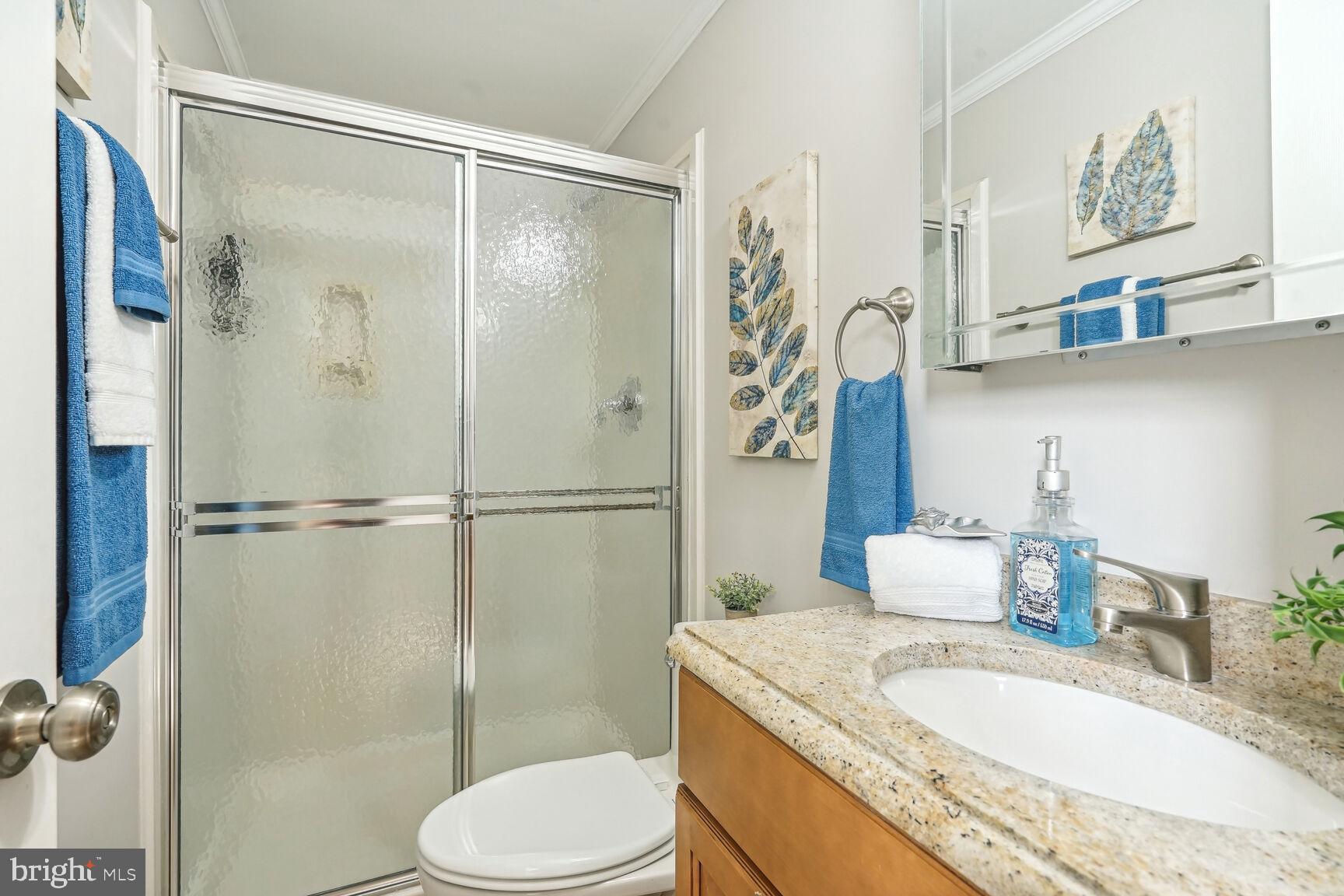 7586 Vogels Way Springfield, VA 22153 - Photo 28 of 42 En suite bath