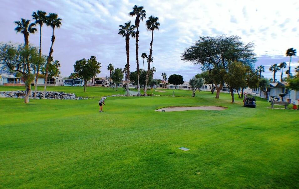 754 Ave 44, Unit 754 Indio, CA 92203 - Photo 13 of 50 a view of a park and trees