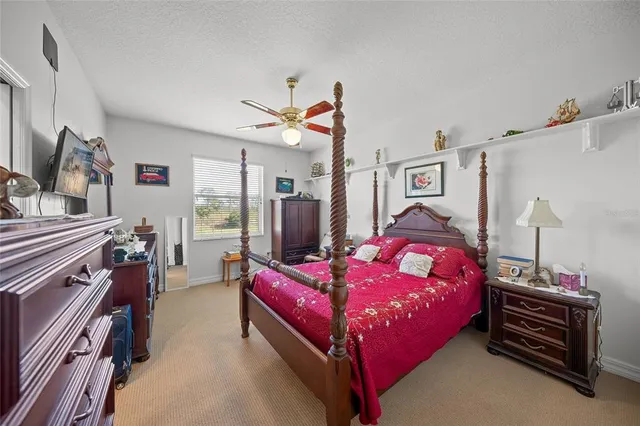 a very nice looking room with many windows