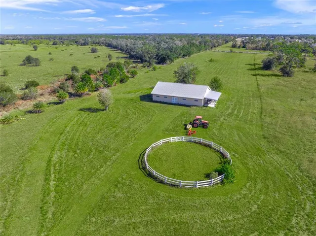 a view of a garden with lawn chairs