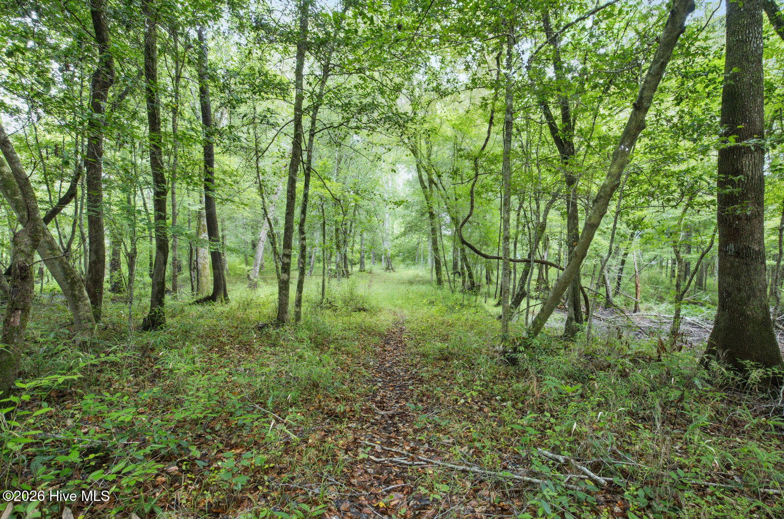 857 Mill River Road Jacksonville, NC 28540 - Photo 18 of 30
