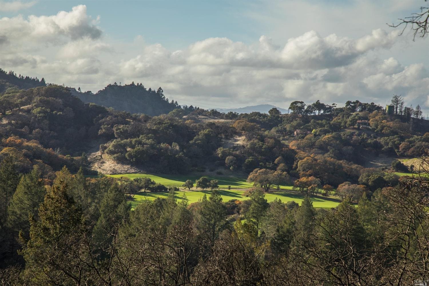 5439 Blue Ridge Trail Santa Rosa, CA 95404 - Photo 1 of 1 an aerial view of houses covered by trees