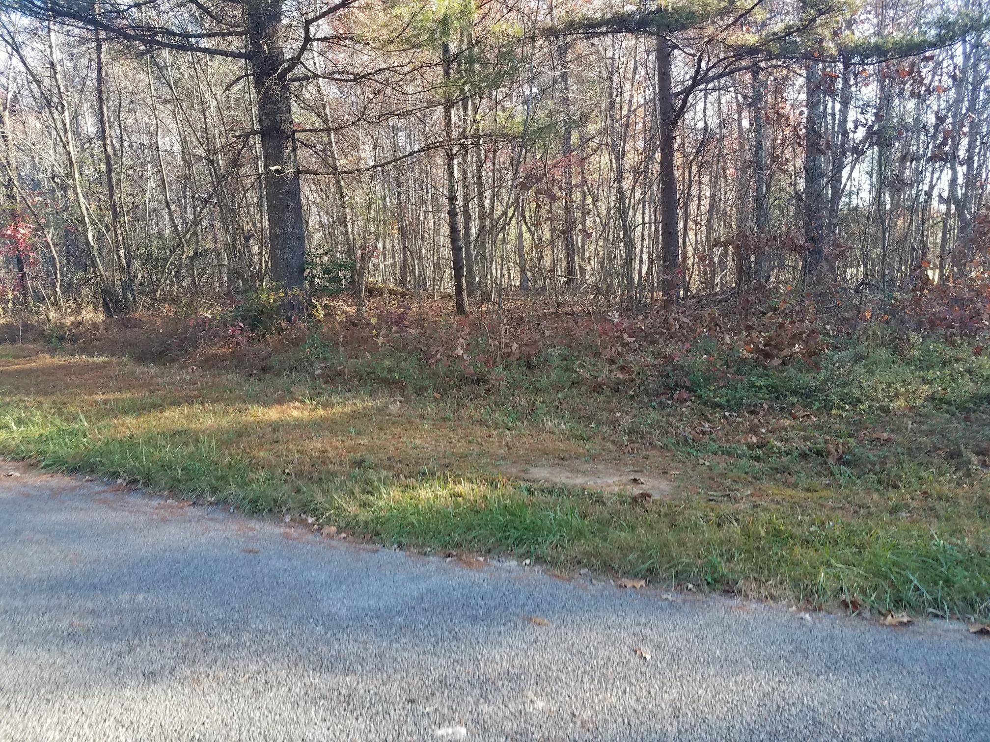 0 Gardner Road Deer Lodge, TN 37726 - Photo 5 of 6
