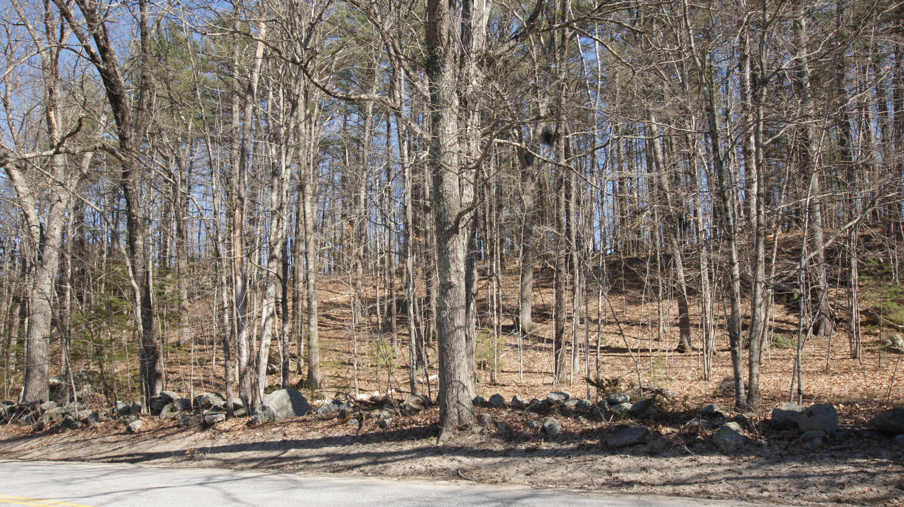 47 Dutton Hill Road Windham, ME 04062 - Photo 2 of 45 DSC07811