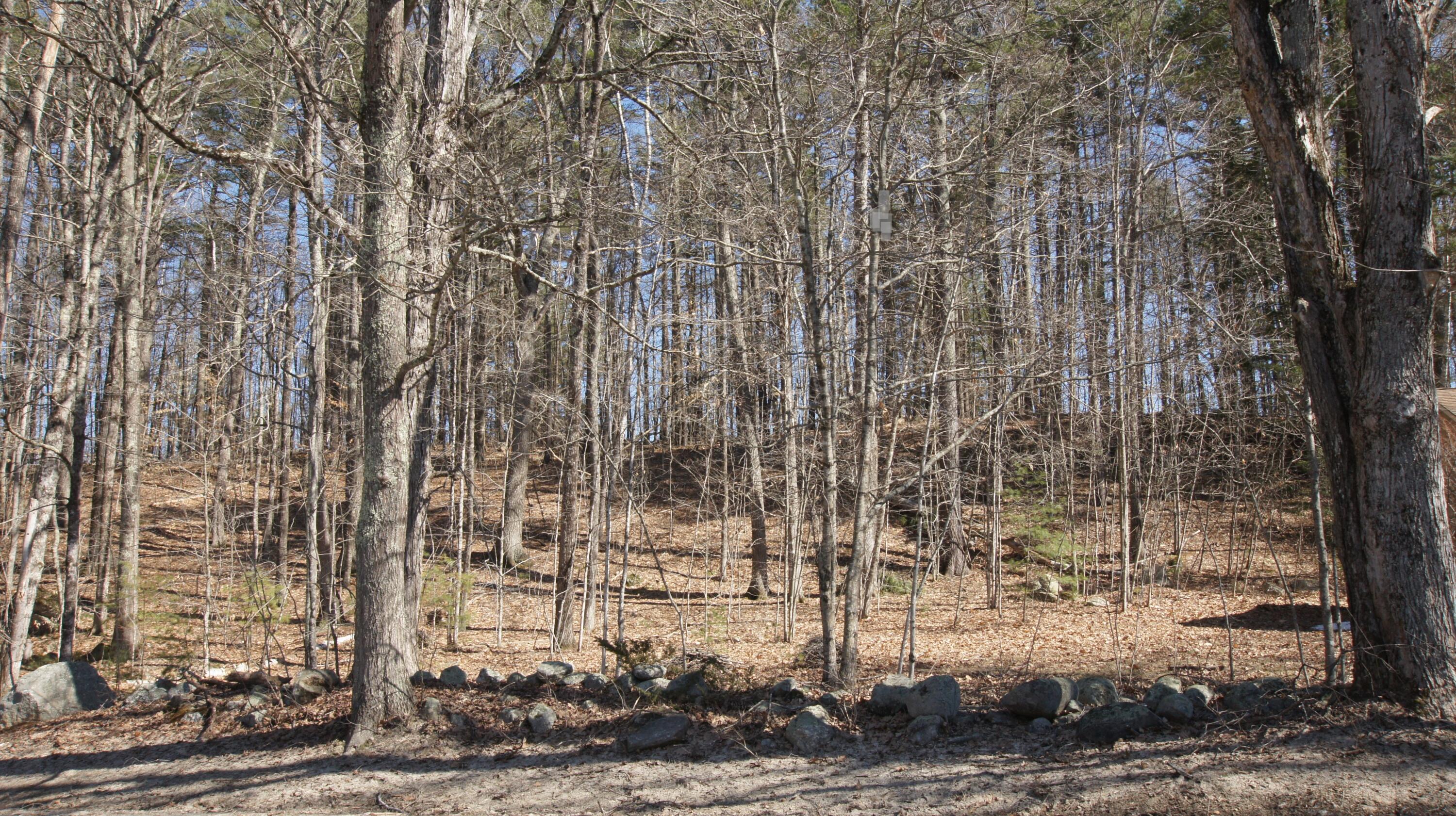 47 Dutton Hill Road Windham, ME 04062 - Photo 3 of 45 DSC07812_1