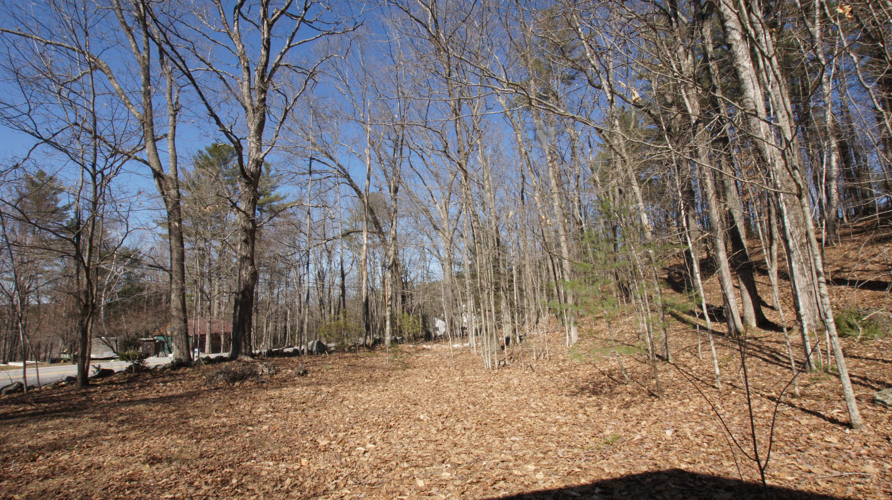 47 Dutton Hill Road Windham, ME 04062 - Photo 40 of 45 DSC07828_1