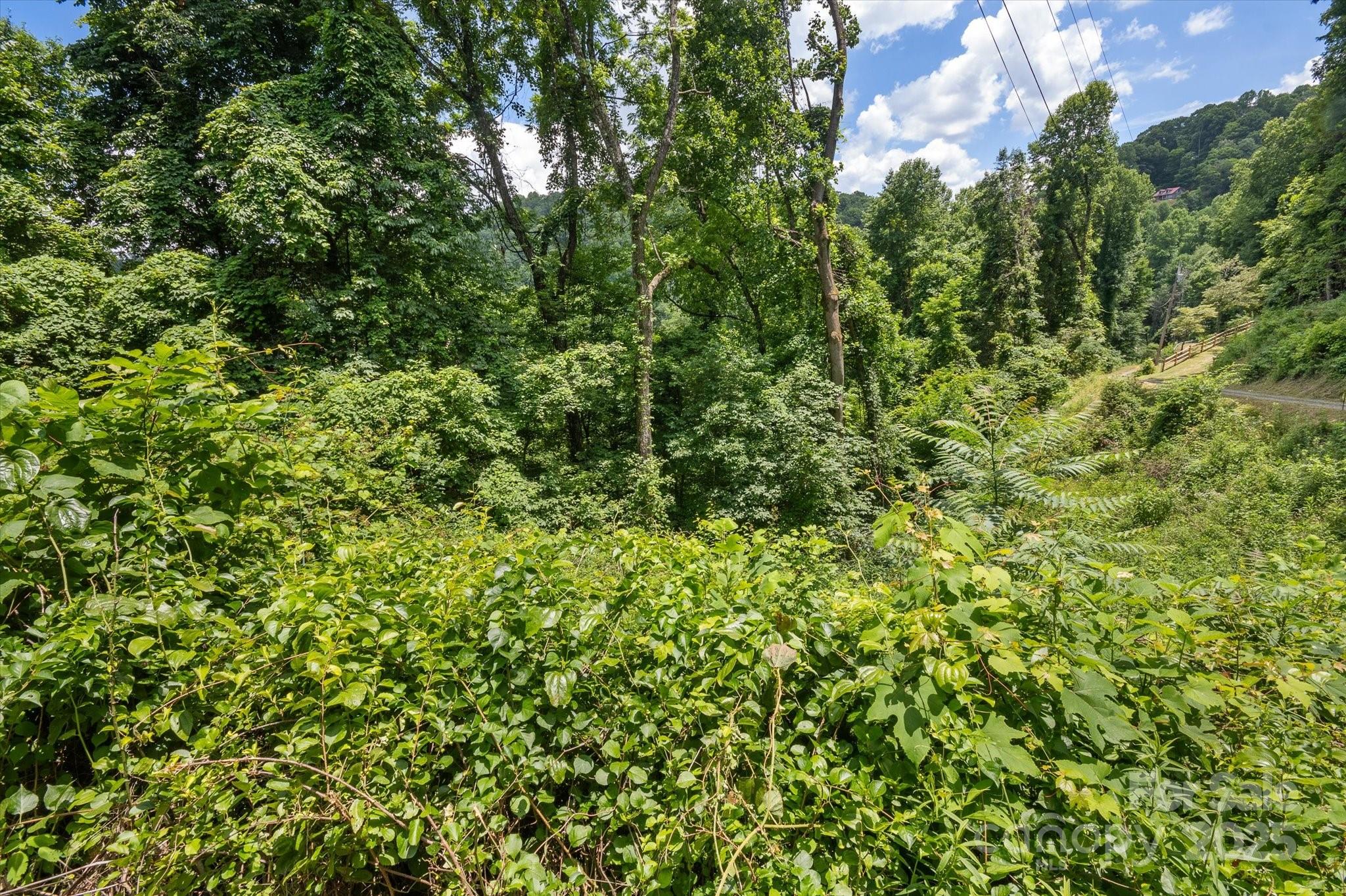 99999 Secluded Valley Road Marshall, NC 28753 - Photo 14 of 21 a view of a lush green forest