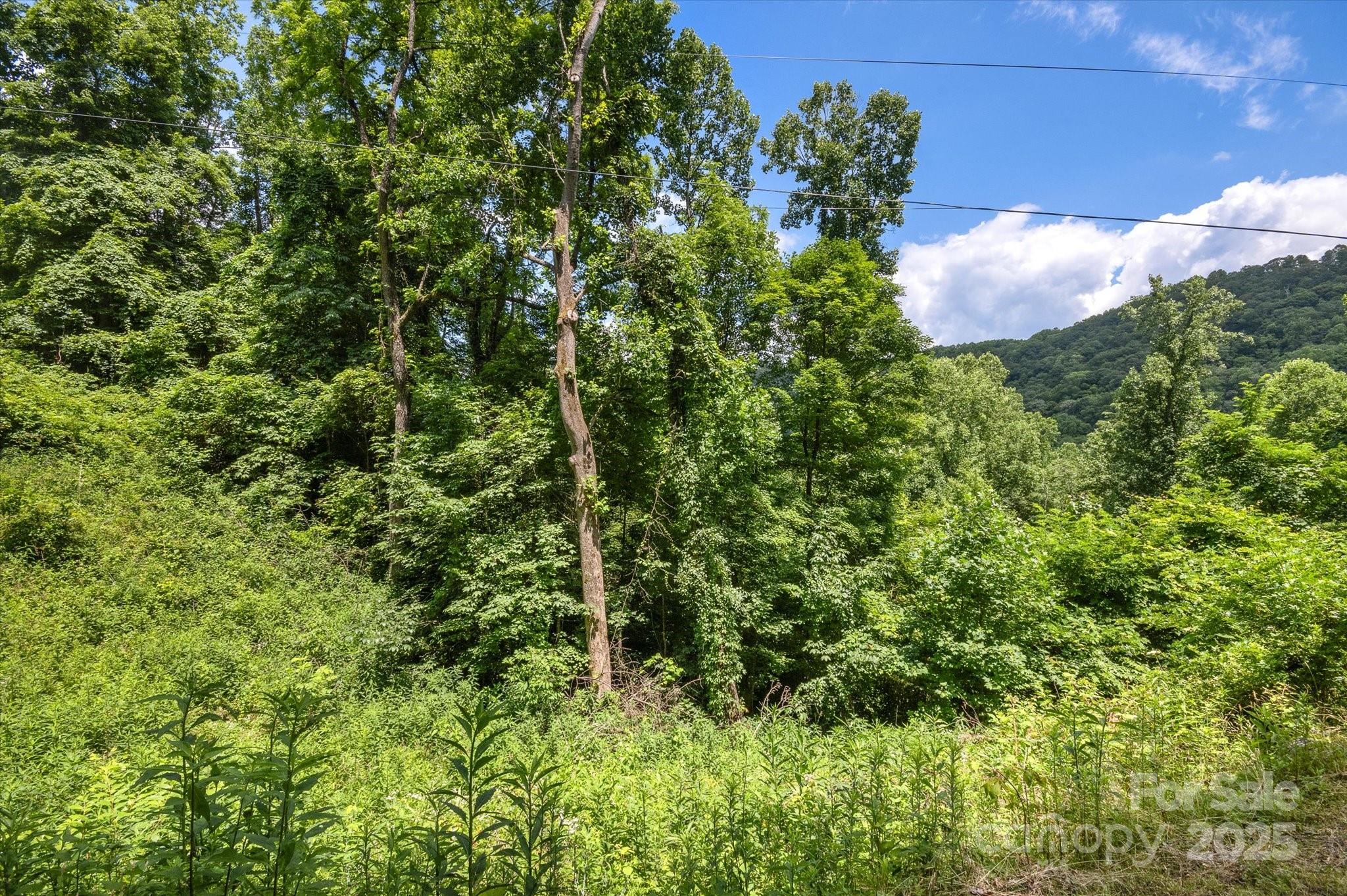 99999 Secluded Valley Road Marshall, NC 28753 - Photo 17 of 21 a view of a yard