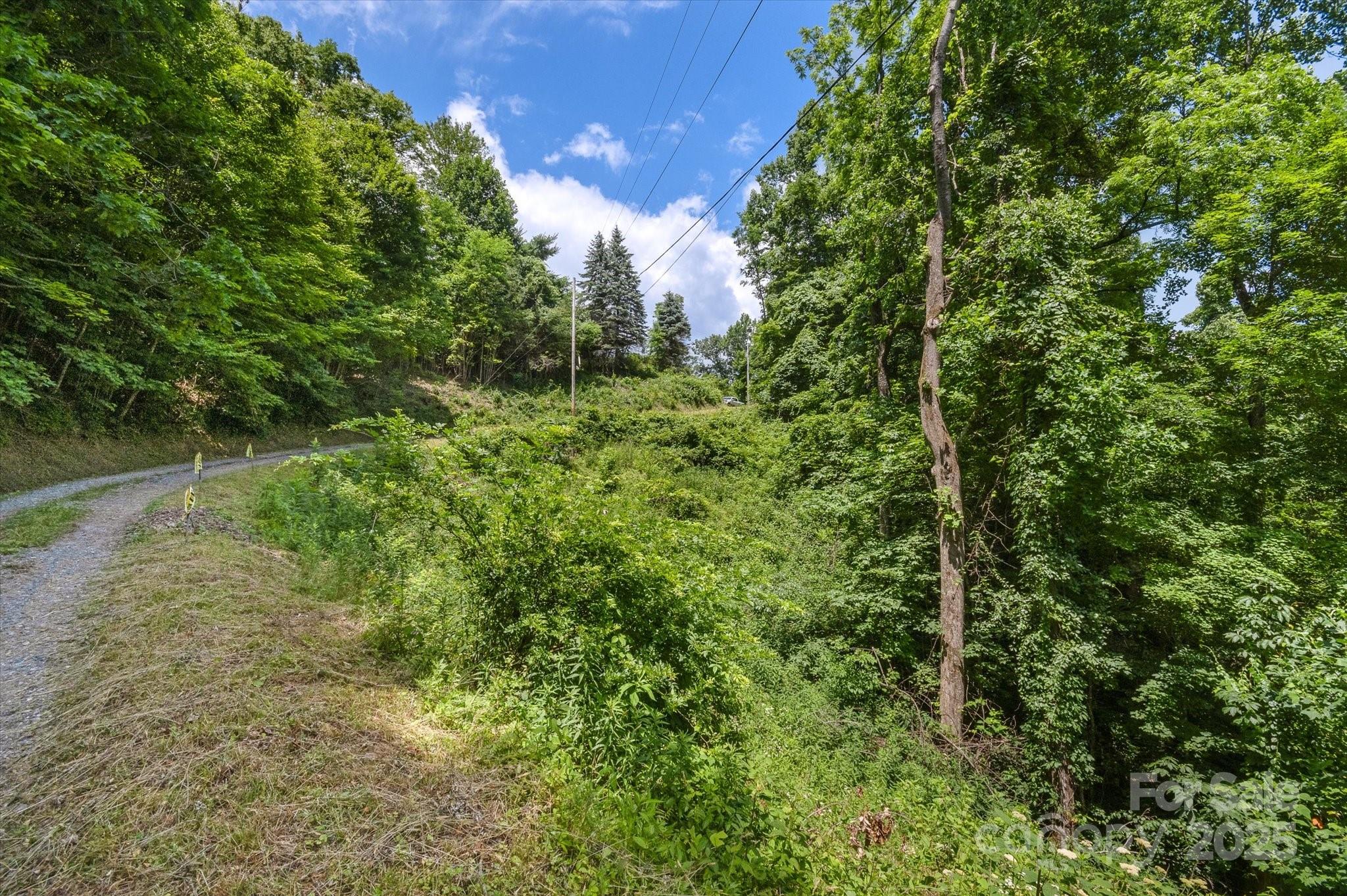99999 Secluded Valley Road Marshall, NC 28753 - Photo 18 of 21 a view of a lush green forest