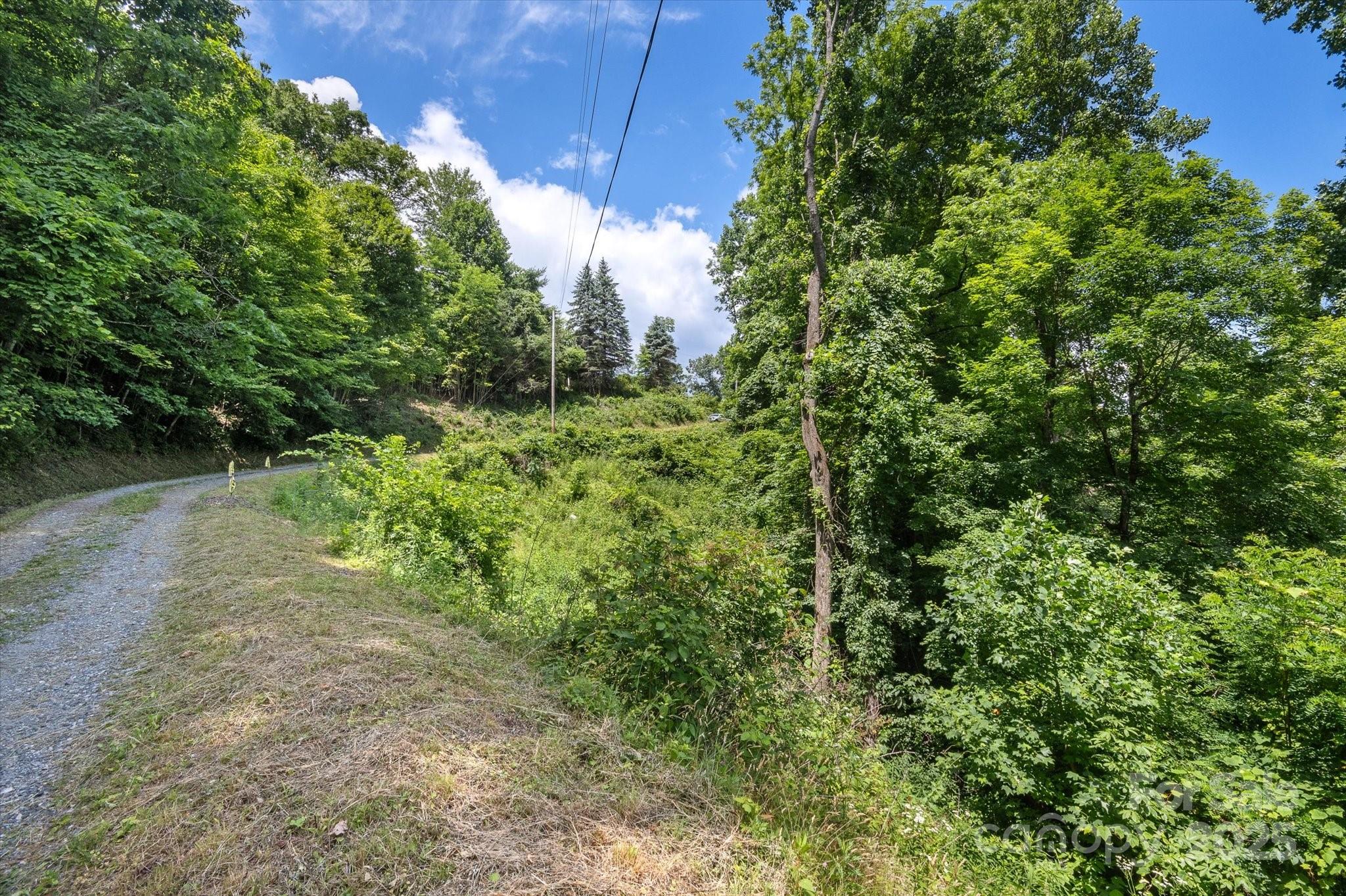 99999 Secluded Valley Road Marshall, NC 28753 - Photo 20 of 21 a view of a yard with plants and a small yard