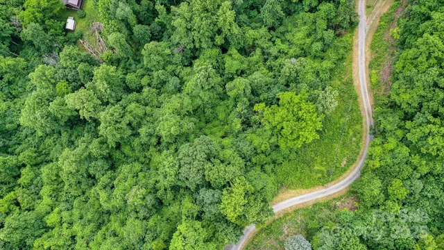 a view of a yard with plants