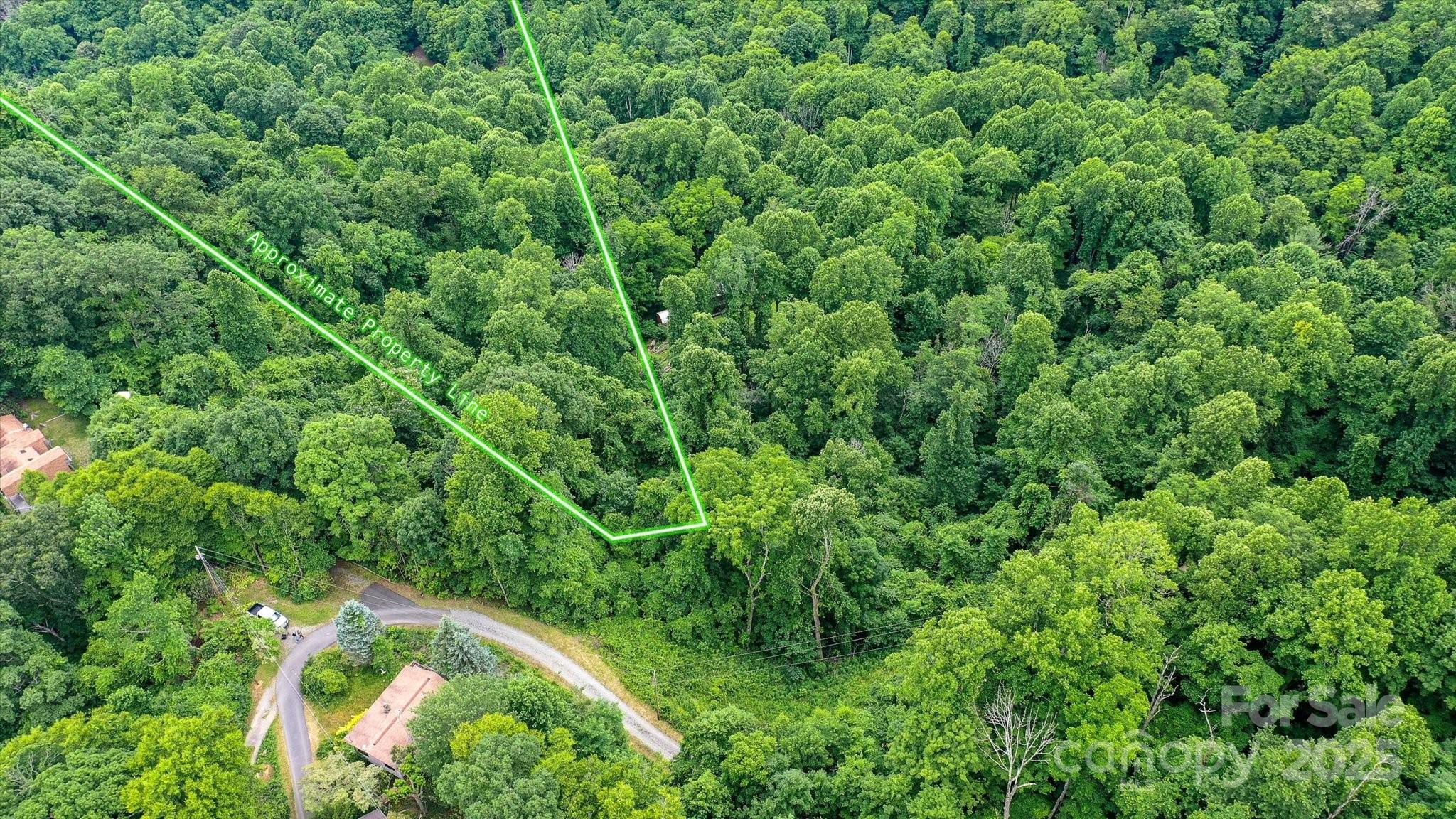 99999 Secluded Valley Road Marshall, NC 28753 - Photo 3 of 21 an aerial view of residential house with outdoor space and trees all around
