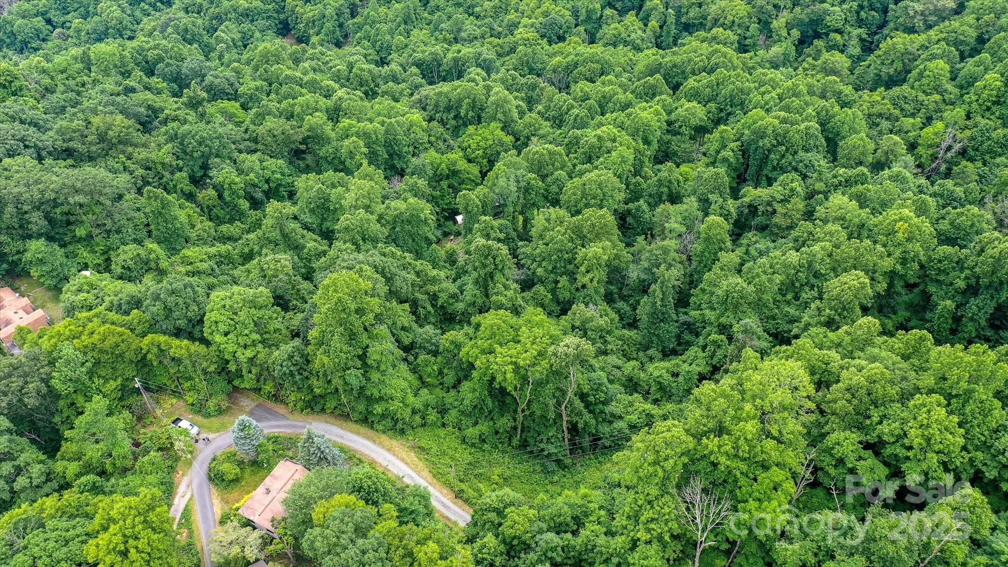 99999 Secluded Valley Road Marshall, NC 28753 - Photo 6 of 21 an aerial view of residential house with outdoor space and trees all around