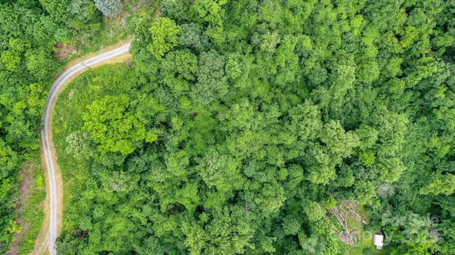 a map view of a lush green space