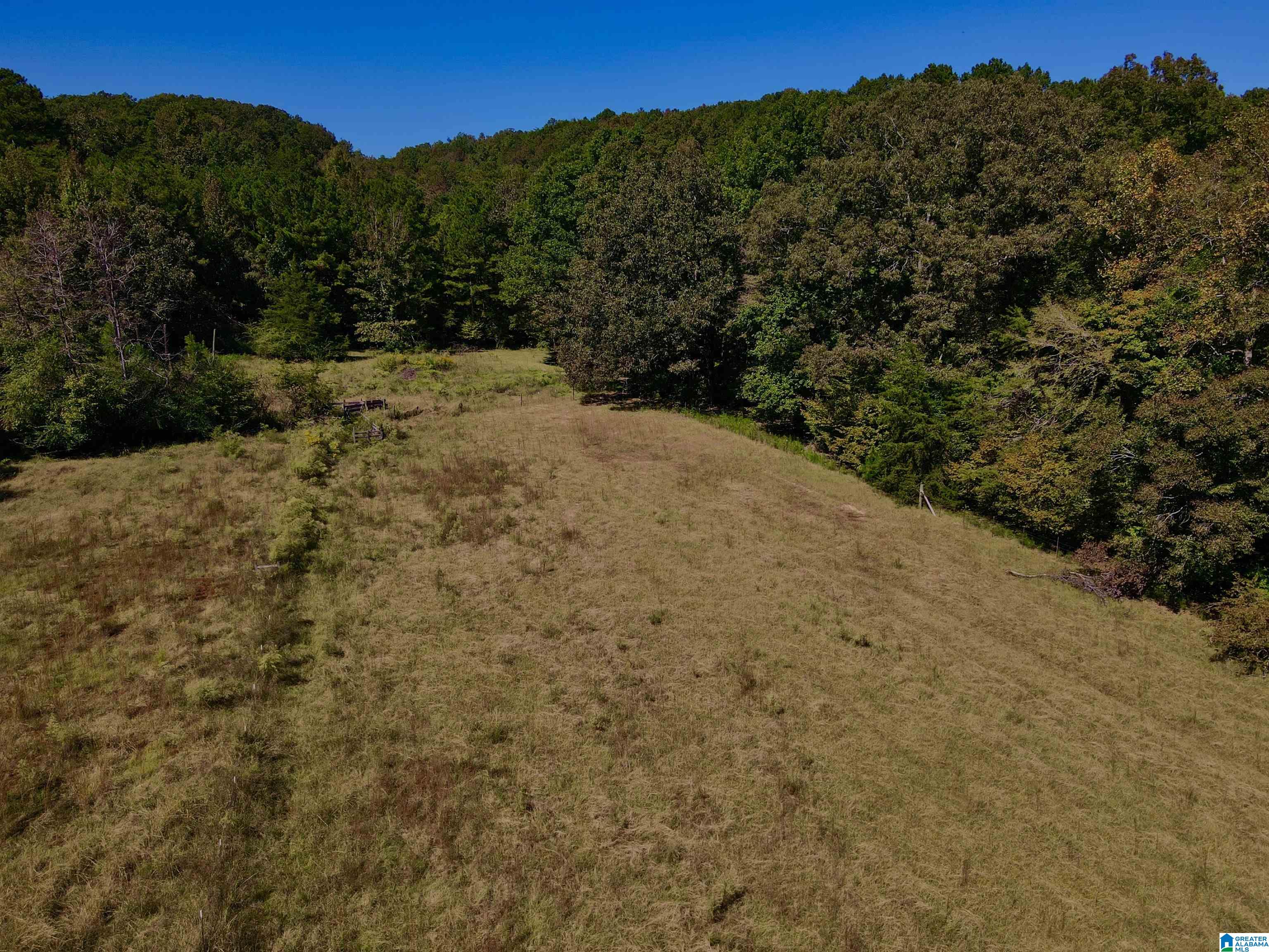 263 Pebble Road Montevallo, AL 35115 - Photo 45 of 50