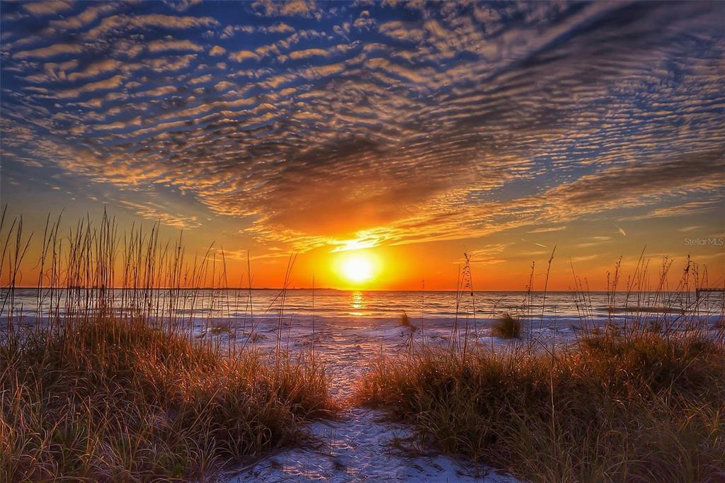 13062 Gulf Boulevard Madeira Beach, FL 33708 - Photo 56 of 66