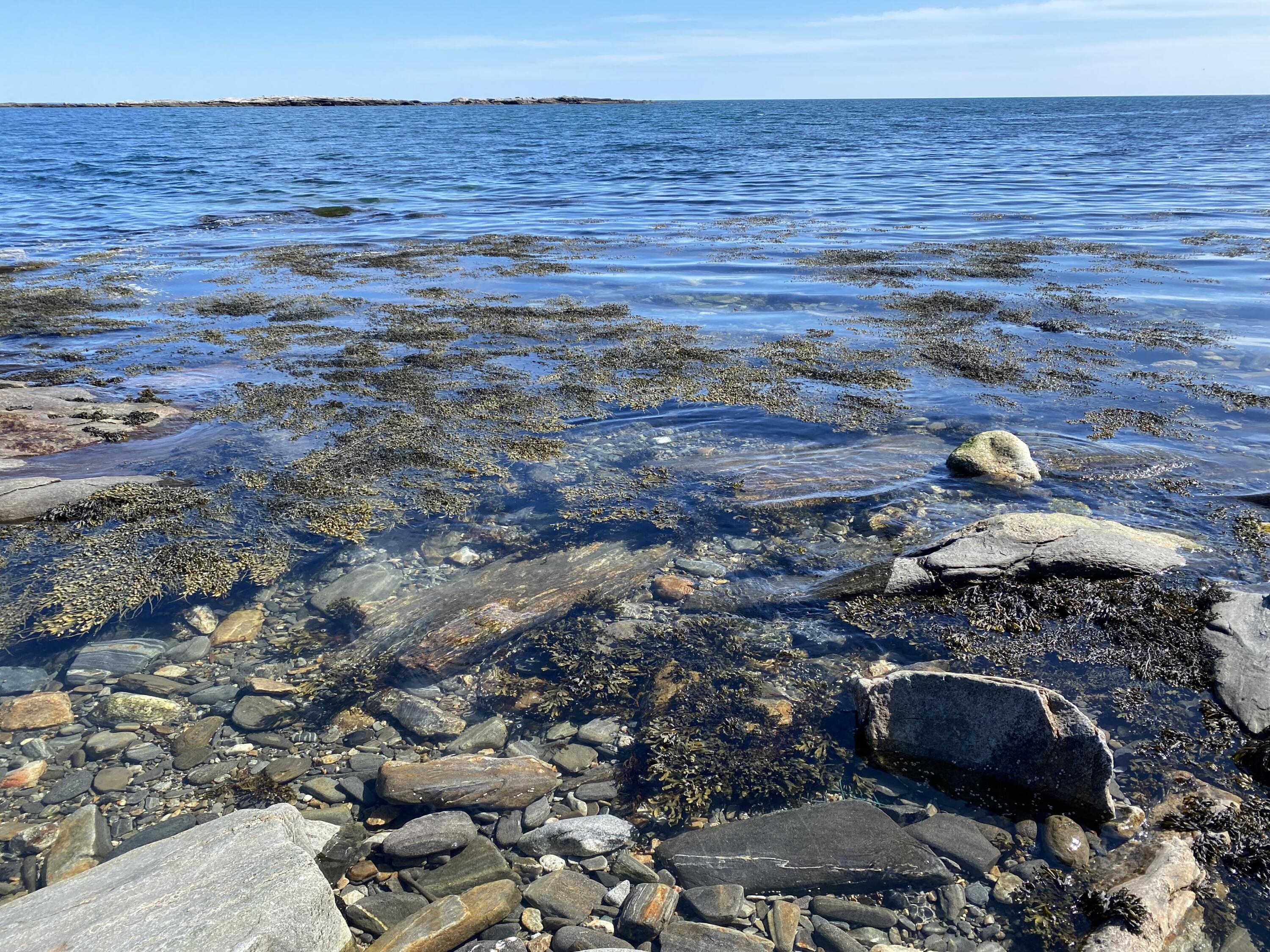 345 Highway 32 Chamberlain, ME 04541 - Photo 13 of 40 rocky beach 2