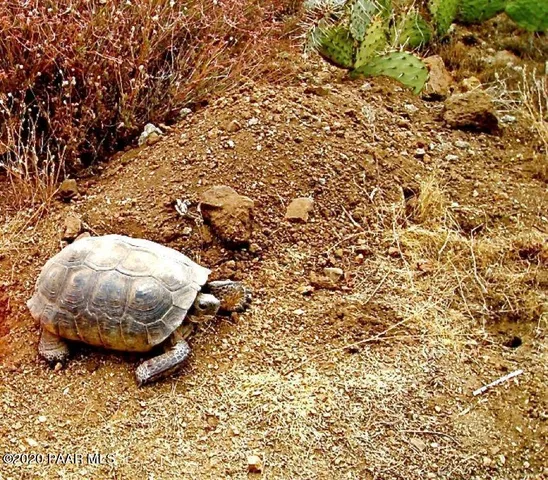 $92,000 | 0 South Bent Spur Road, Congress, AZ 85332