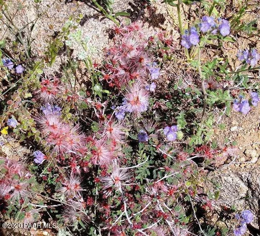 $92,000 | 0 South Bent Spur Road, Congress, AZ 85332