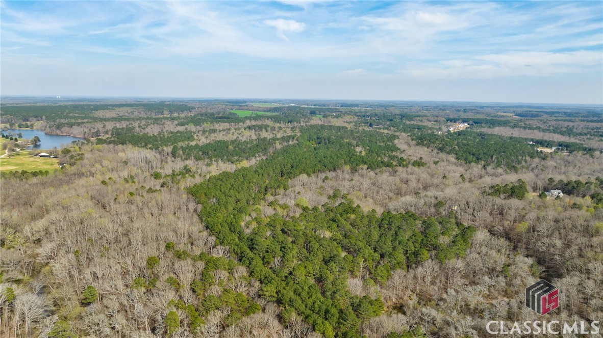 0 Lake Oconee Road Statham, GA 30666 - Photo 19 of 30