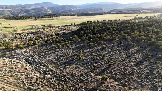 123 Tbd Forest Service Rd 640a (s Salina, UT 84654 - Photo 66 of 69 Bird's eye view of a mountainous background
