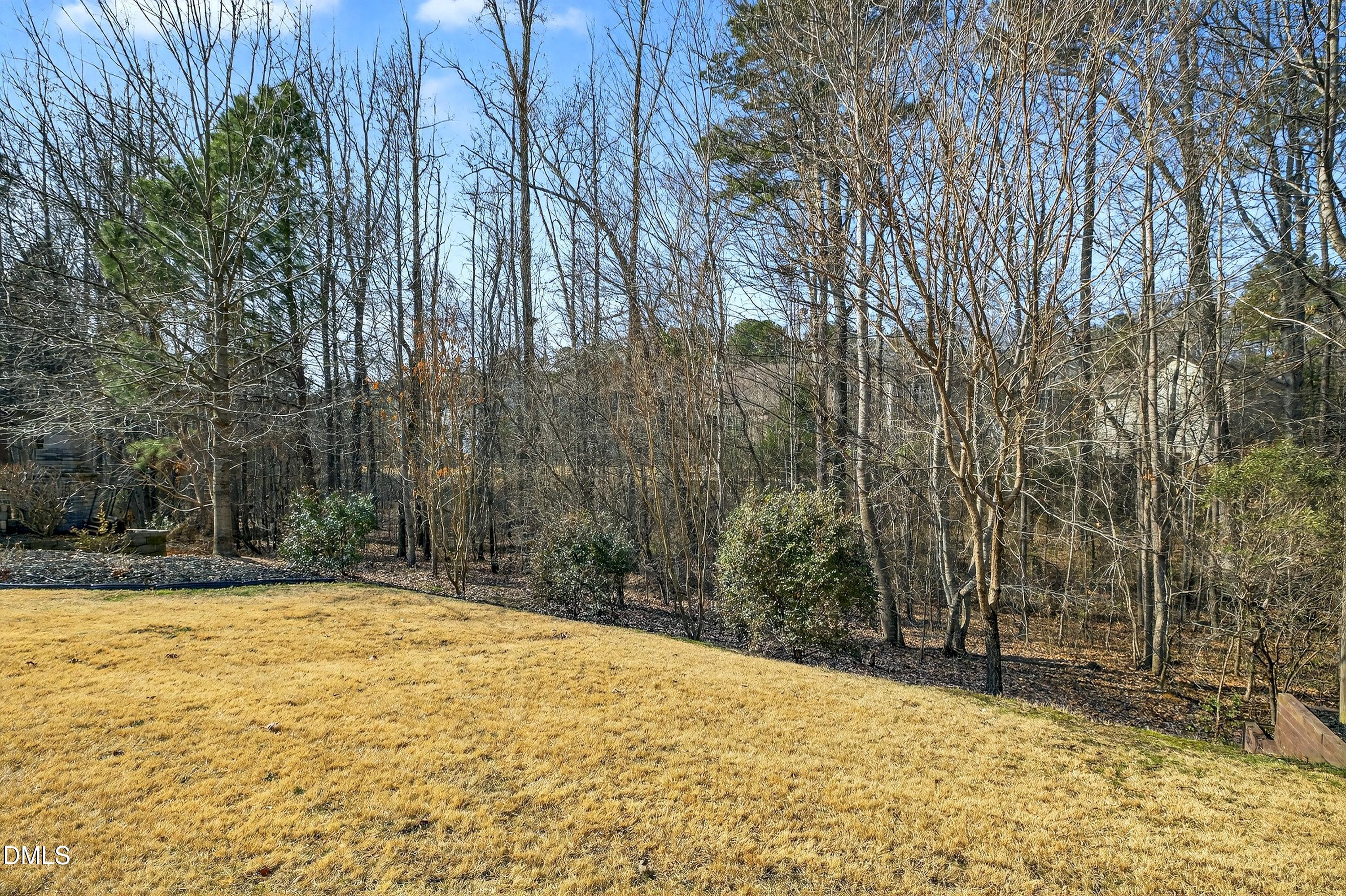 2030 Lazio Lane Apex, NC 27502 - Photo 61 of 69 Scene-57