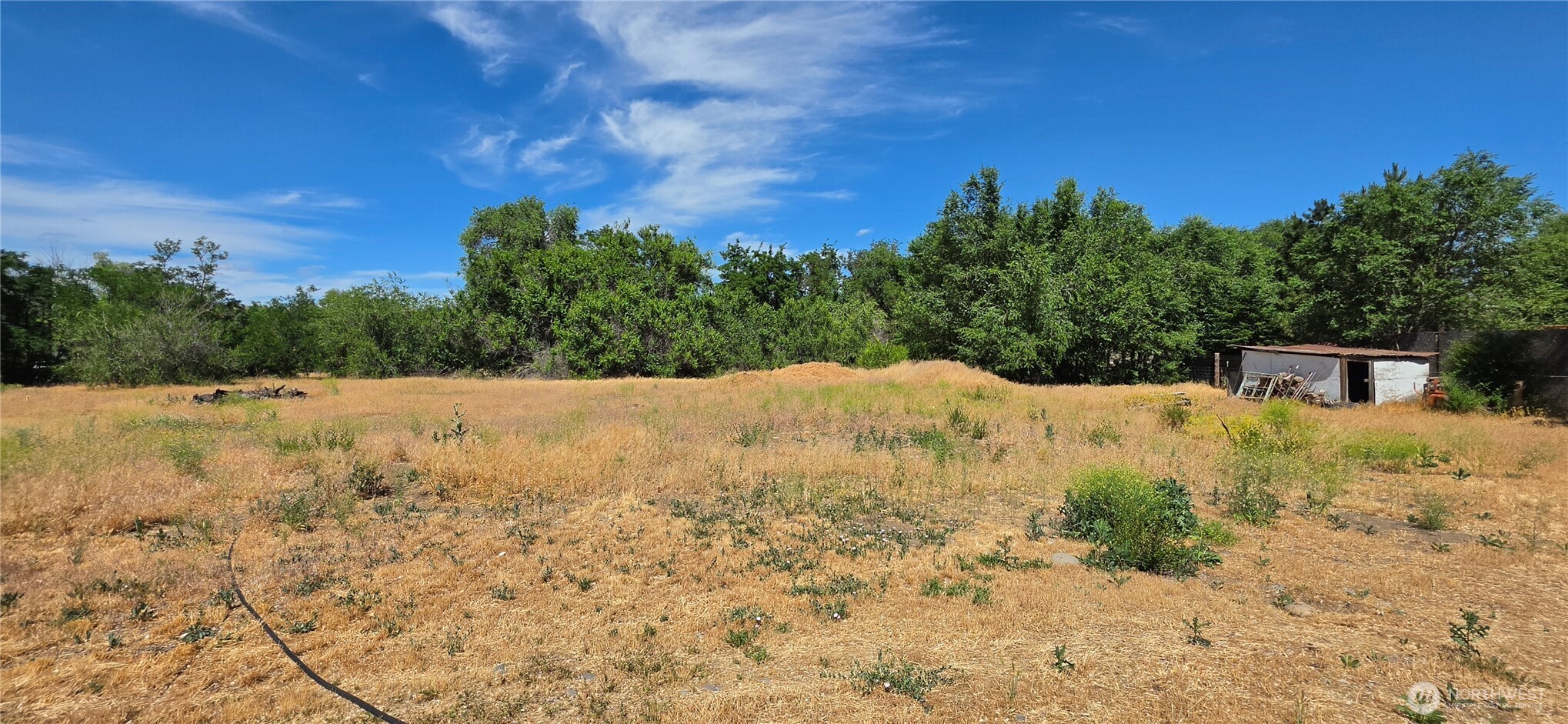 161 Orchard Rite Road Yakima, WA 98908 - Photo 6 of 40