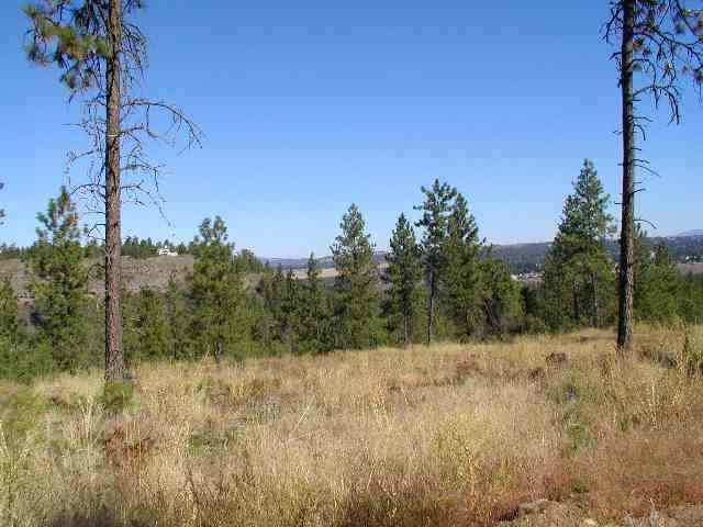 6805 West Trails Road Spokane, WA 99224 - Photo 6 of 8
