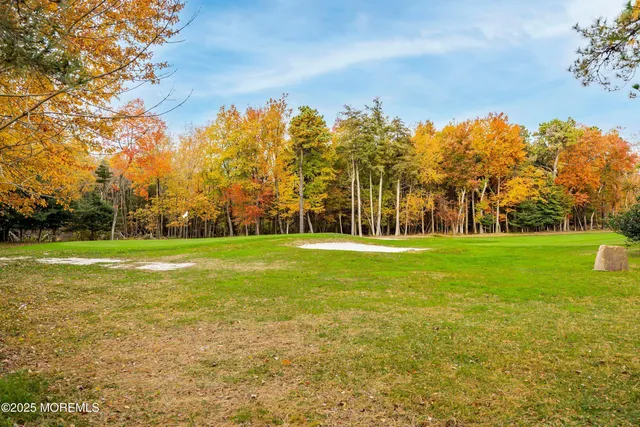 a view of a large yard with large trees