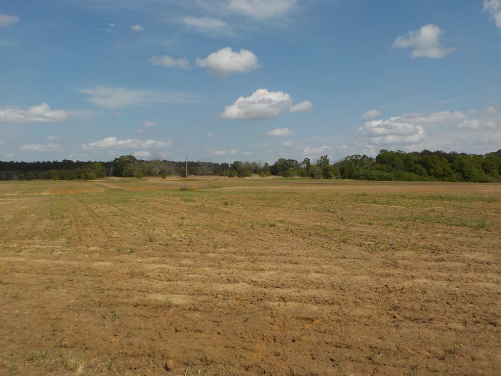 5.3-ac Memphis Church Road Dothan, AL 36301 - Photo 18 of 29