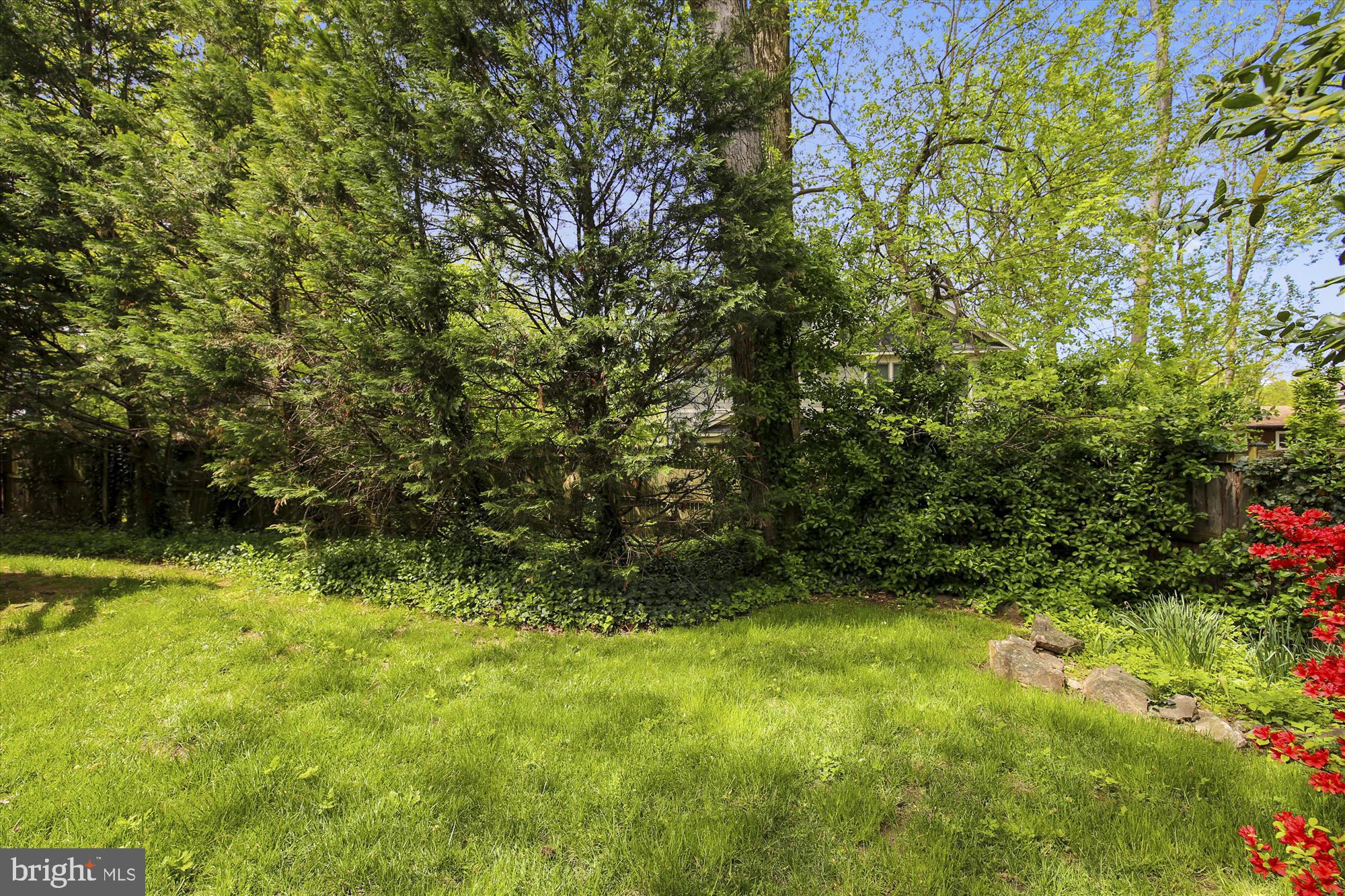 5308 Sangamore Road Bethesda, MD 20816 - Photo 29 of 50 Back yard
