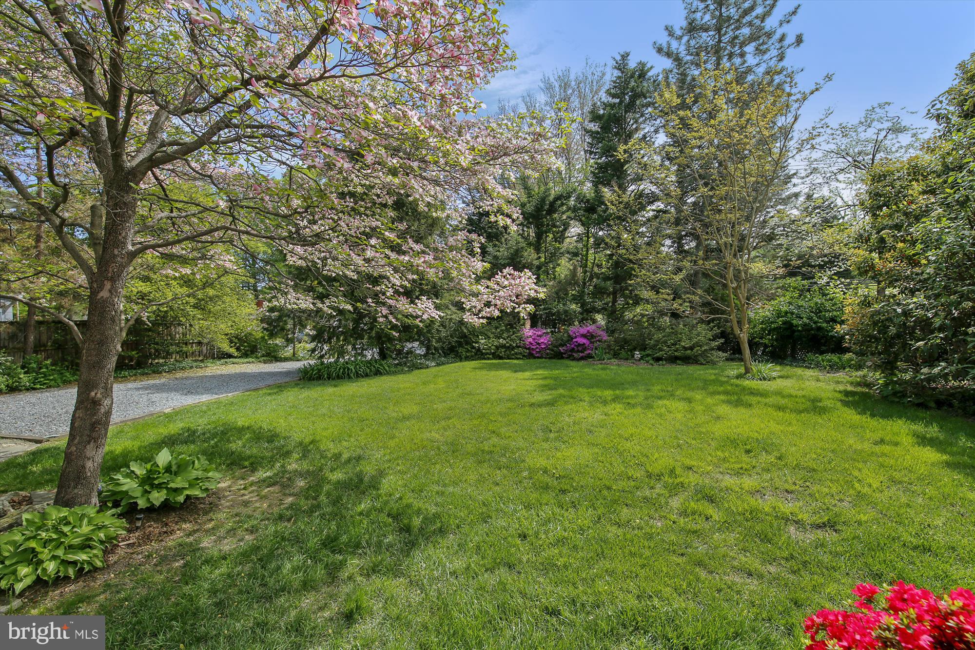 5308 Sangamore Road Bethesda, MD 20816 - Photo 44 of 50 Front yard
