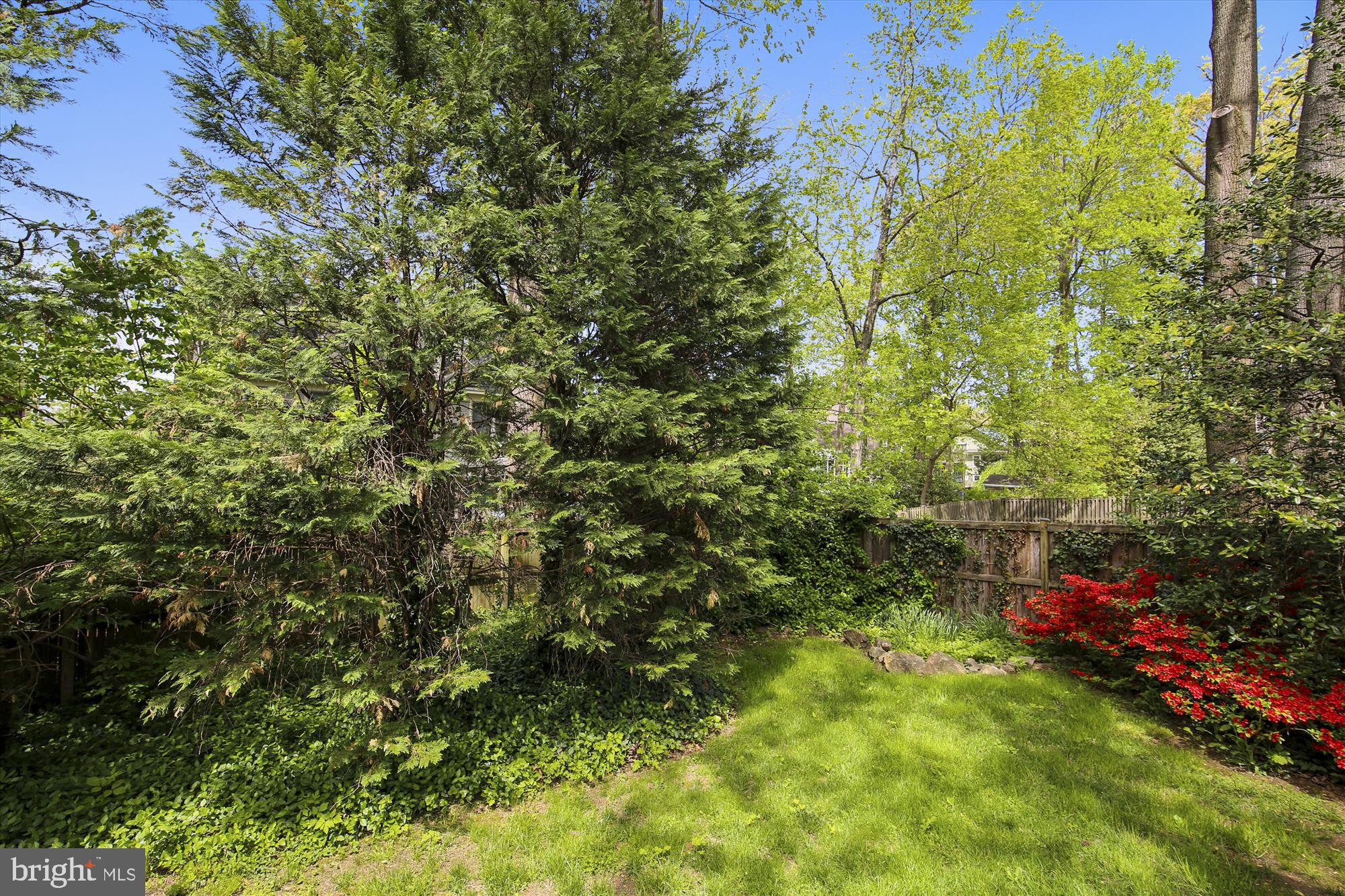 5308 Sangamore Road Bethesda, MD 20816 - Photo 46 of 50 Back yard