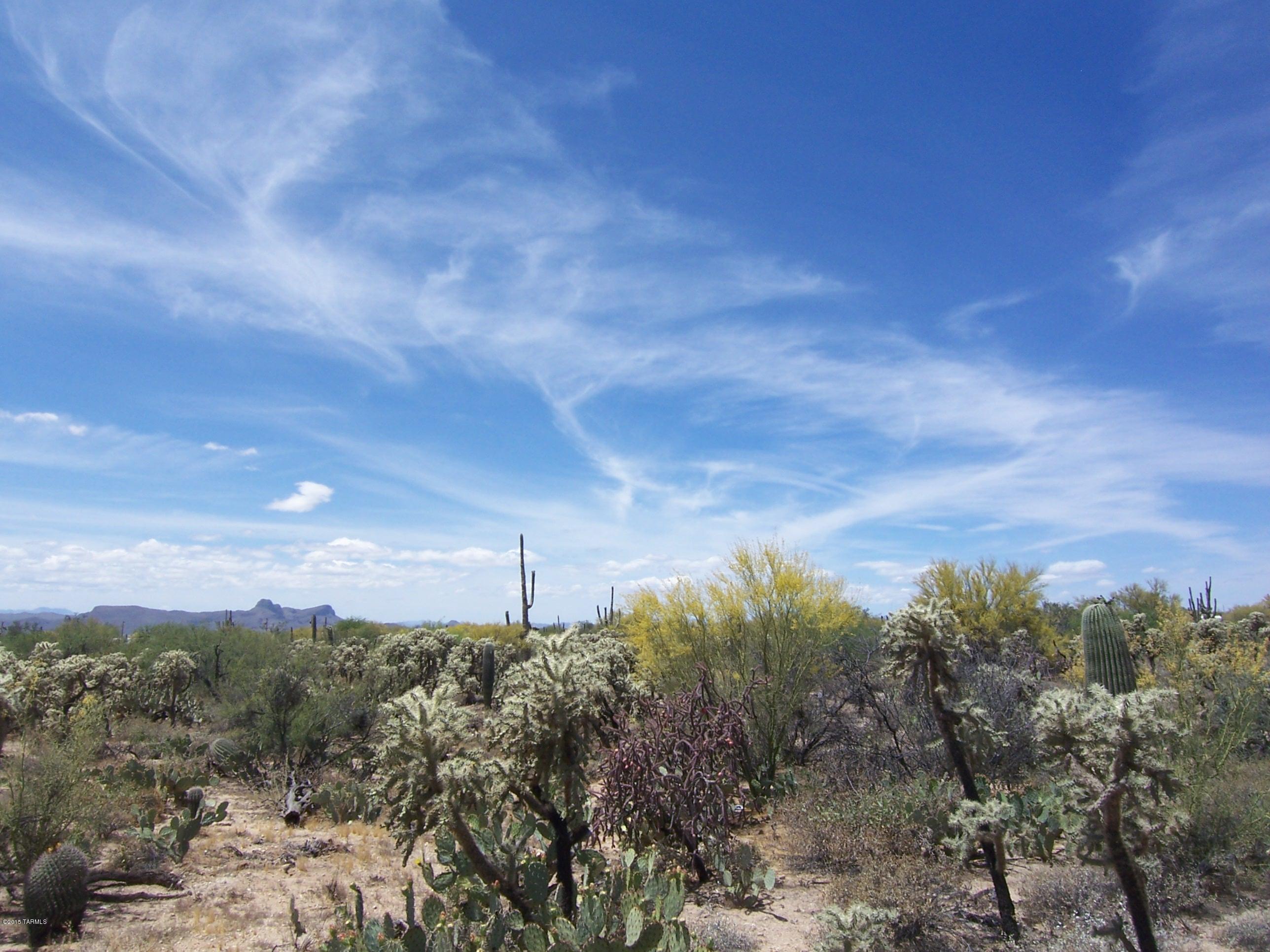 10700 North Thornydale Road Tucson, AZ 85742 - Photo 5 of 10