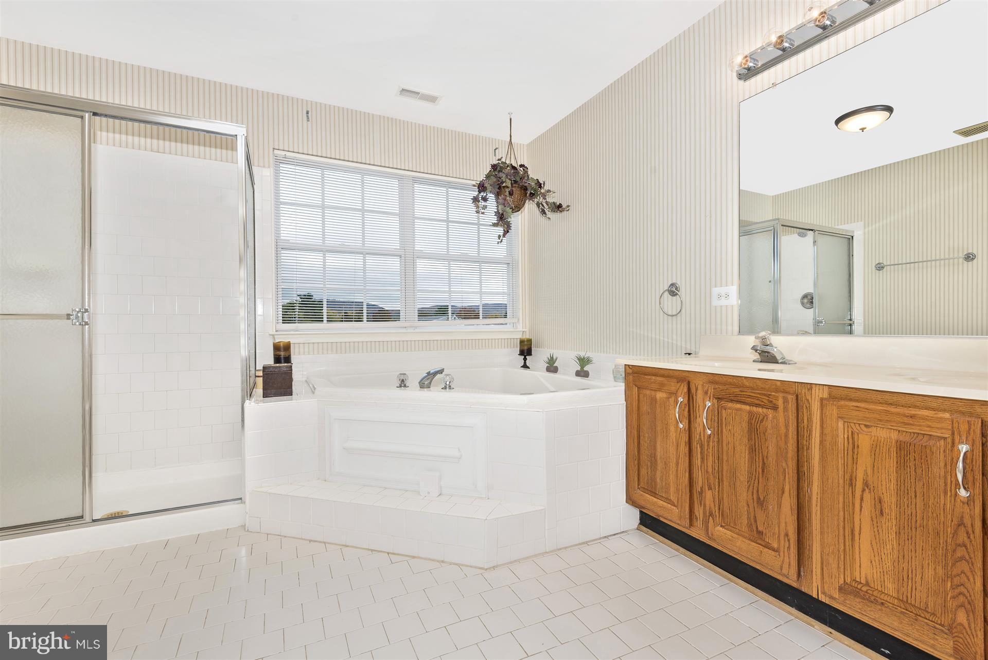 605 Hunting Ridge Drive Frederick, MD 21703 - Photo 18 of 29 Bath (Master)