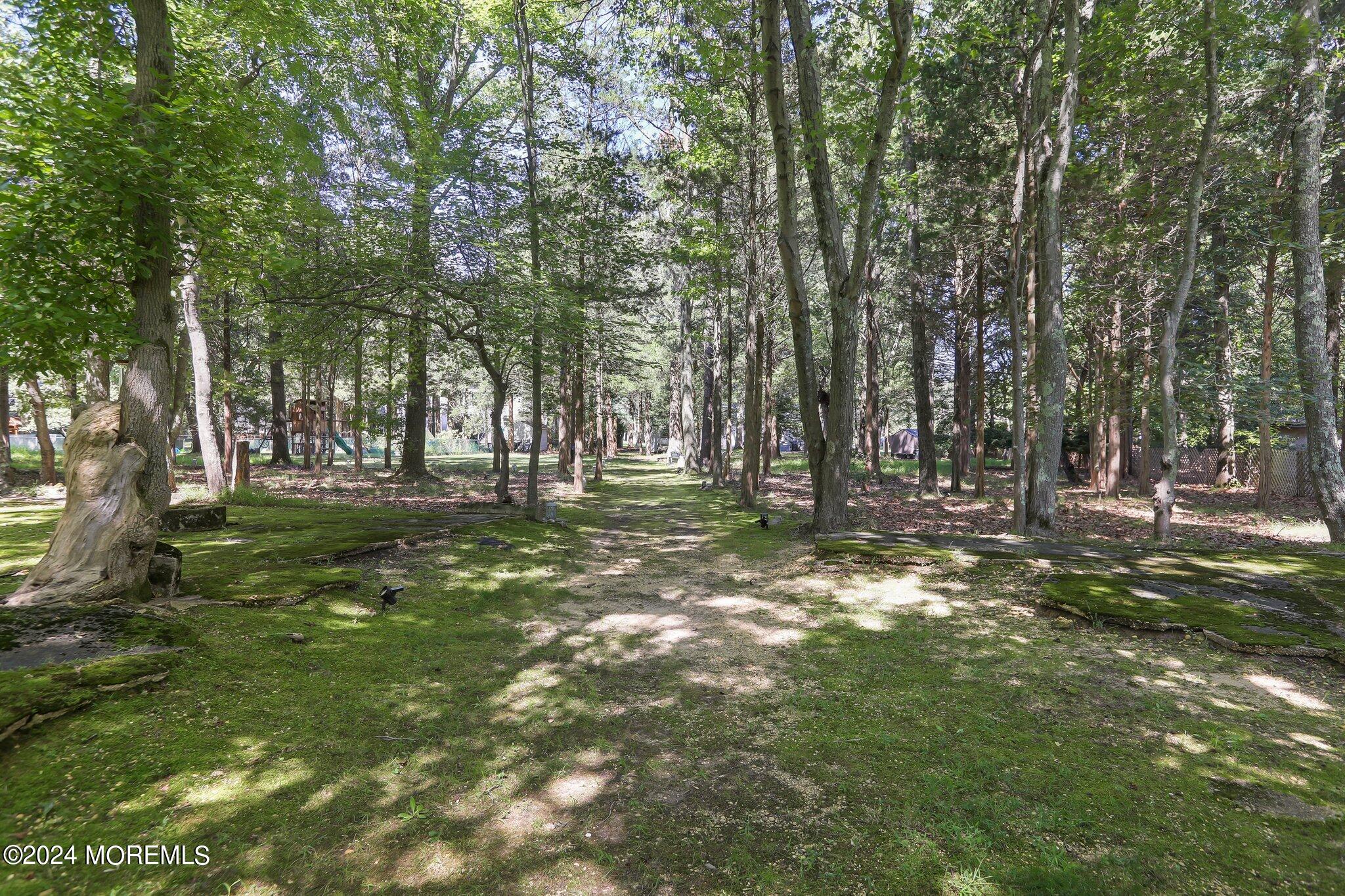 59 East Pleasant Grove Road Jackson, NJ 08527 - Photo 54 of 57 a view of outdoor space with trees all around